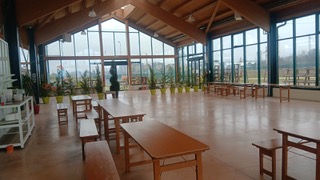 Compleanni a Milano organizzazione eventi