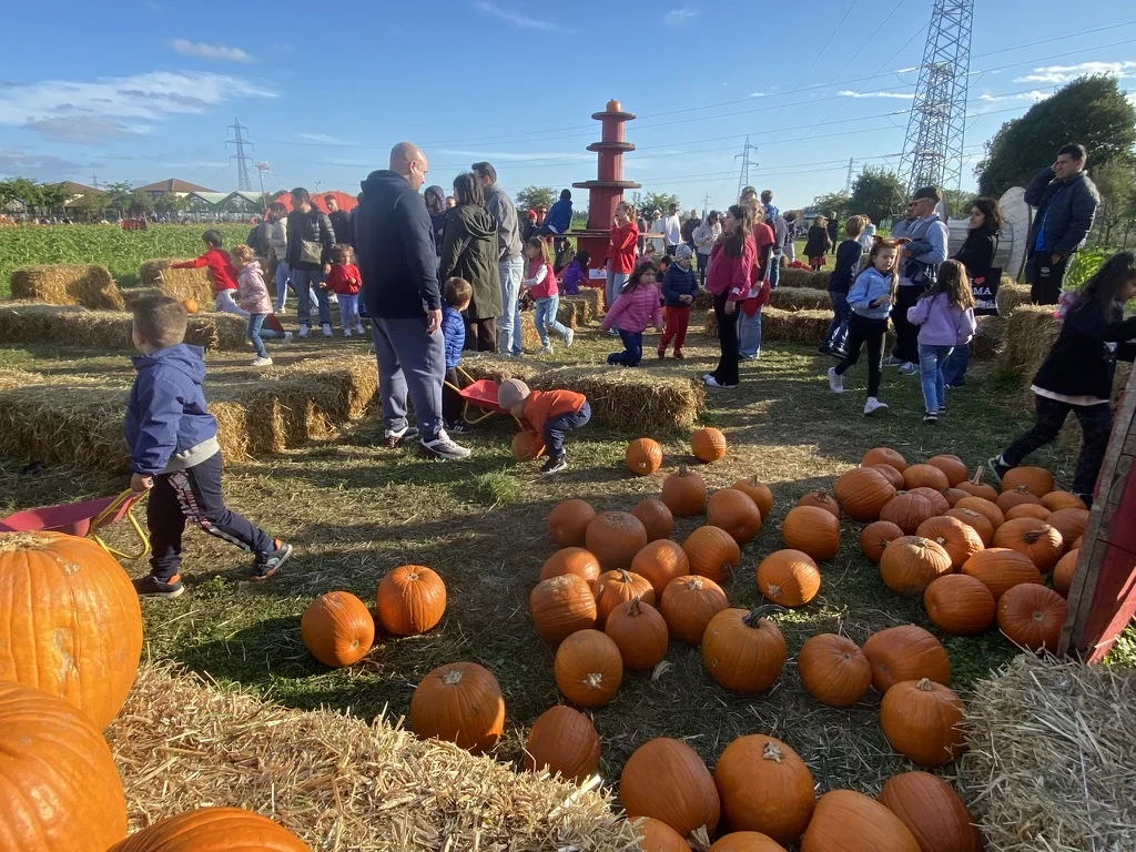 servizio intrattenimento aziendale azienda Milano