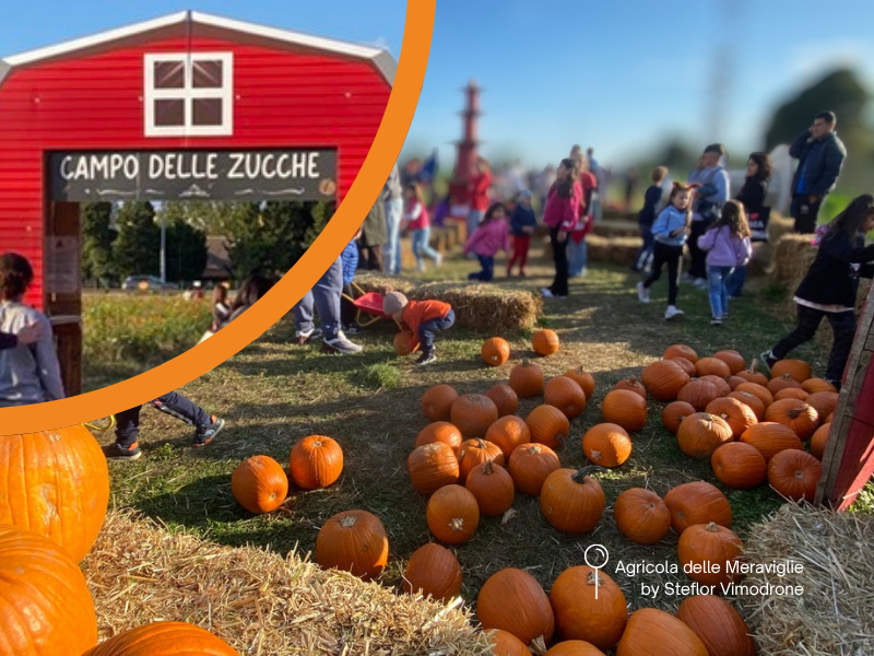 CAMPO DELLE ZUCCHE 2026